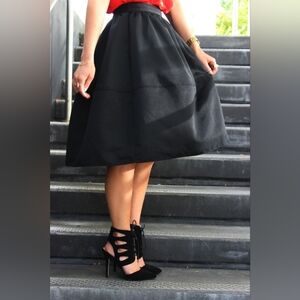 Express High Waist Full Circle Skirt